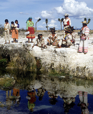 Tuimayau-copy.preview