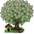 dolar_arbol_120