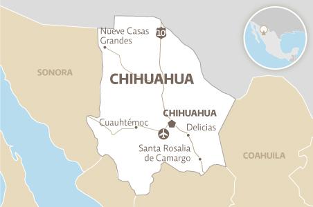 chihuahua 83