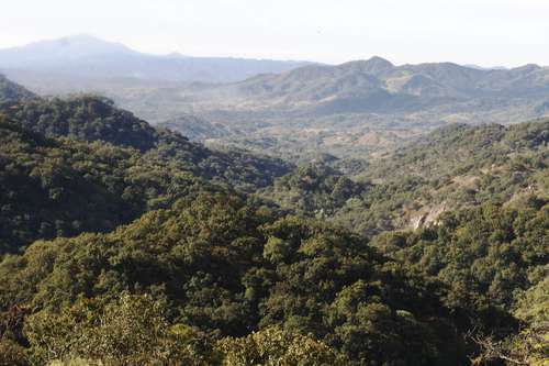 comunidad loma colorada