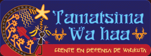 logo-TAMATSIMA-300x112