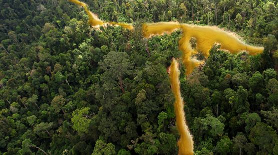 goldfluss-guyana-fr