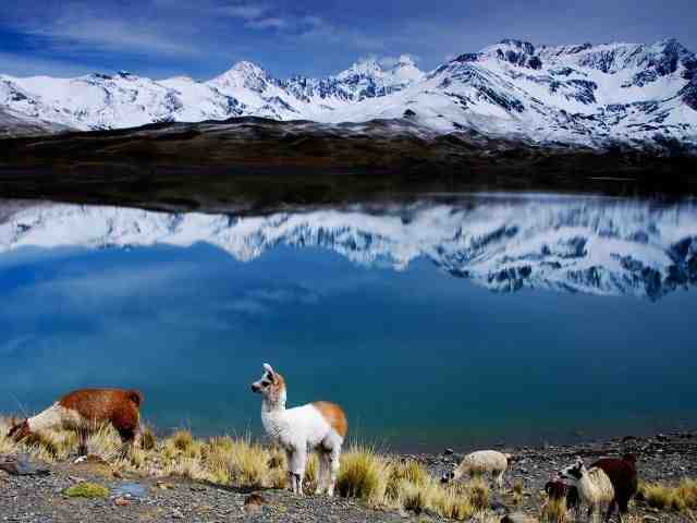 cordillera bolivia