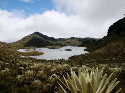 paramo santurban