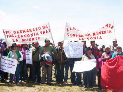 contralaconia peru