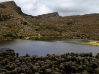 Paramo de Sumapaz