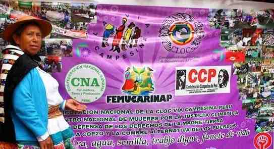 cloc mujeres peru