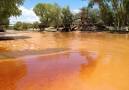 rio bacanuchi contaminado