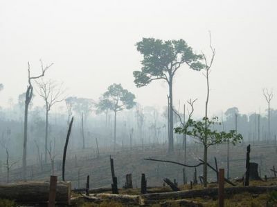 Brasil desforestada