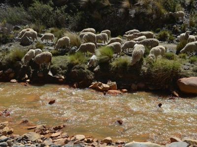 contaminacion agua bolivia