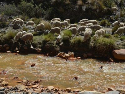 contaminacion agua bolivia