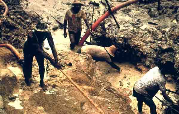 yanomami gold mining article column