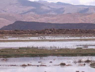 LAGO bolivia aguas acidas