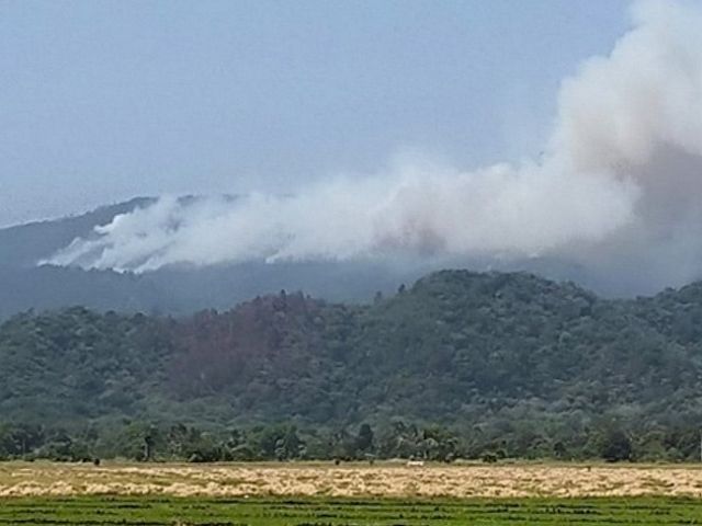 incendio rep dominicana falcondo