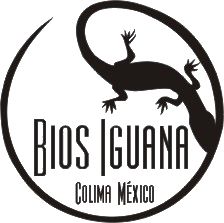 logo Bios Iguana