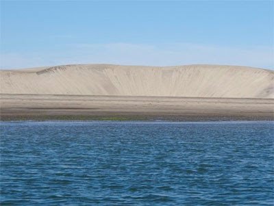 bahia magdalena mexico