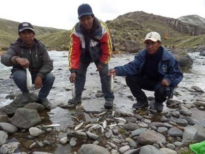 contaminacion minera puno