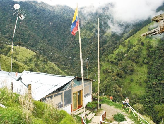 ibague colombia