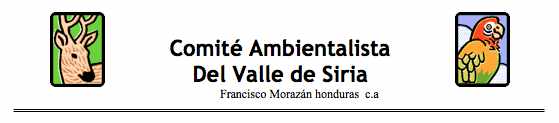 Logo Comite valle de siria