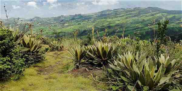 Paramos colombia 2