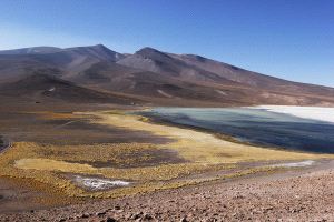 altiplano chile