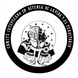 logo comite ixtepecano