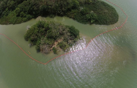 Primeiras imagens de Regencia com o Drone 11 540x350