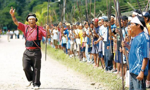 Defensores Madre de Dios Amazonas