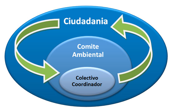 ciudadania