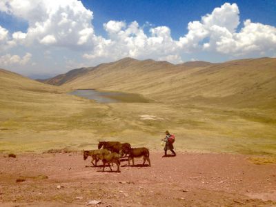 camino inca