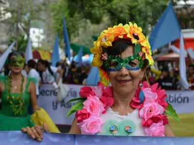 Ibague no a la colosa carnaval