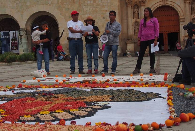 indigenas defenza